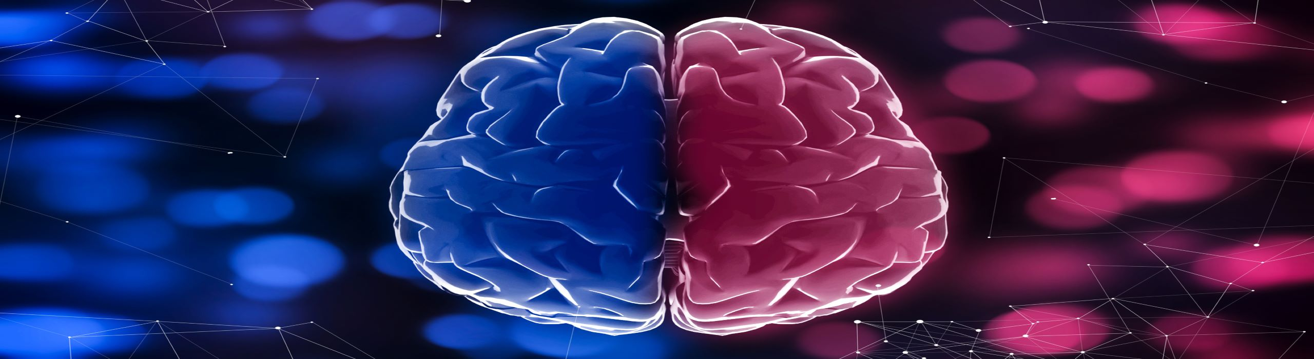 ANA Investigates Updated Brain Death Determination Guidelines